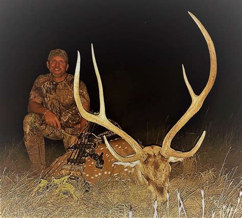 The Art of Lick Magic: A Guide to Attracting Trophy Axis Bucks with Antler King